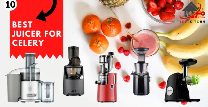 10 Best Juicer for Celery 2021 Reviews & Buying Guide